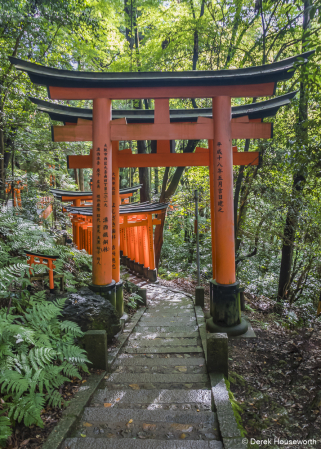 Tranquil Path