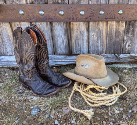 Cowgirl Essentials