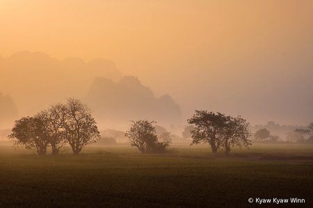 Golden Morning