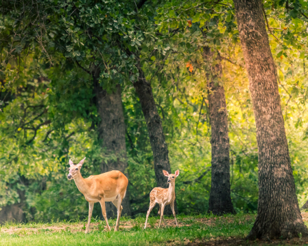 A Moment with Mom