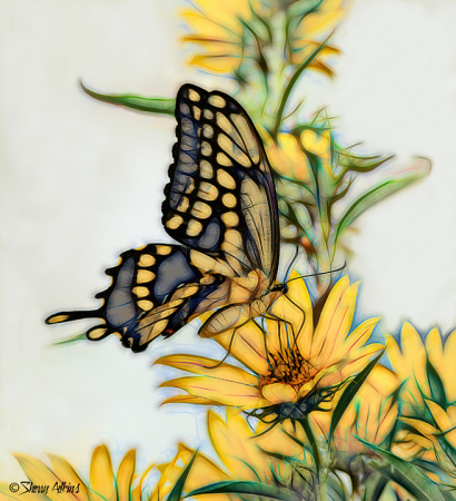 Swallowtail 