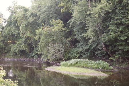 Island In The River