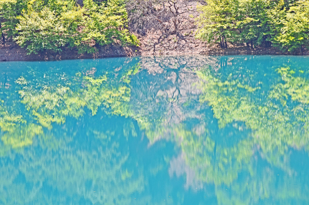 Lakeside reflection. Abstract.