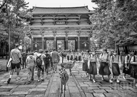 ~ ~ NARA SHRINE ~ ~ 