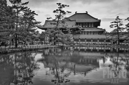 ~ ~ REFLECTING NARA ~ ~ 