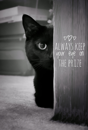 ~ ~ KEEP YOUR EYES ON THE PRIZE ~ ~ 
