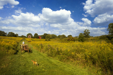 Working on the farm