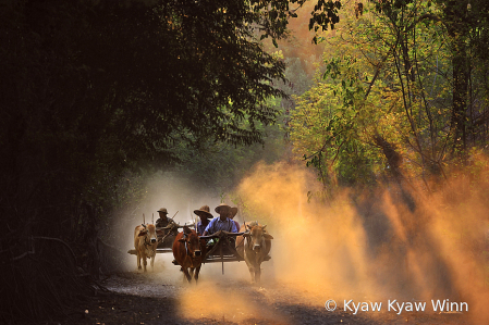 Only in Myanmar