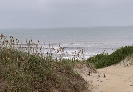 at the beach 