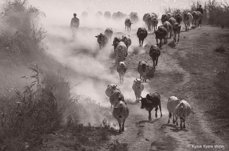 Summer Life of Myanmar