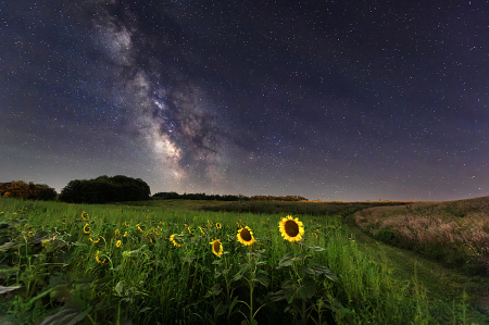 An Iowa Evening