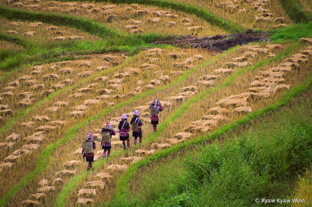 Group Of Akhar Women 