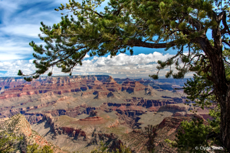 Framing Grand Canyon 