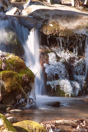 Cold Smoky Mountain Stream