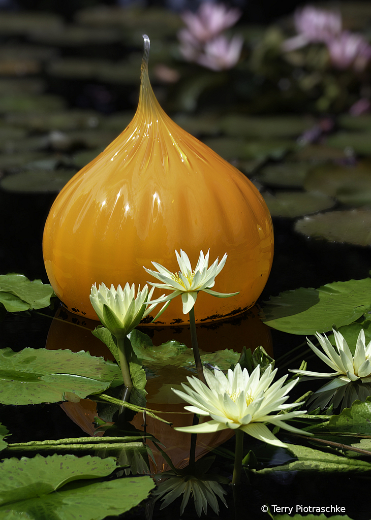 Orange Chihuly