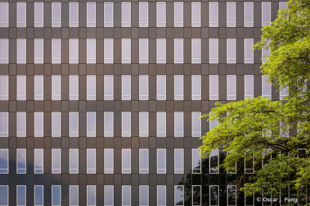 Green On Glass