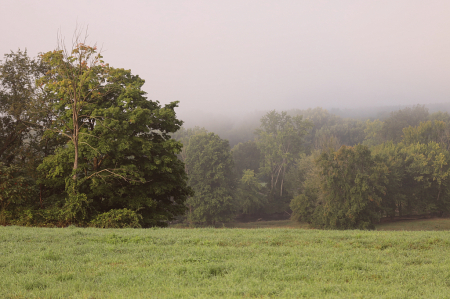  Forecast: Early Morning Fog. Chance of Sun