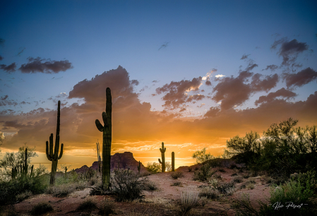 Arizona September Sunset 2024