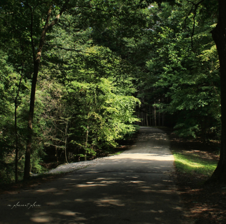 Dappled