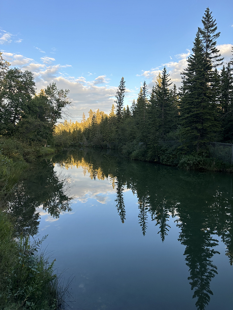 GOLDEN STILLNESS