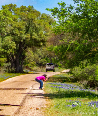 Texas Hill Country Spring 3