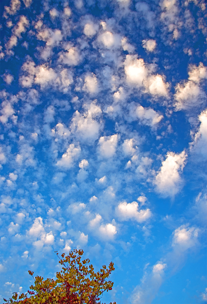 Cloud patches on blue sky.