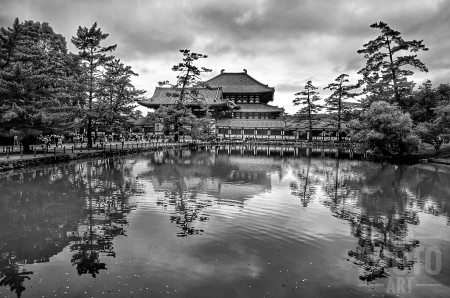 ~ ~ REFLECTING POND ~ ~ 