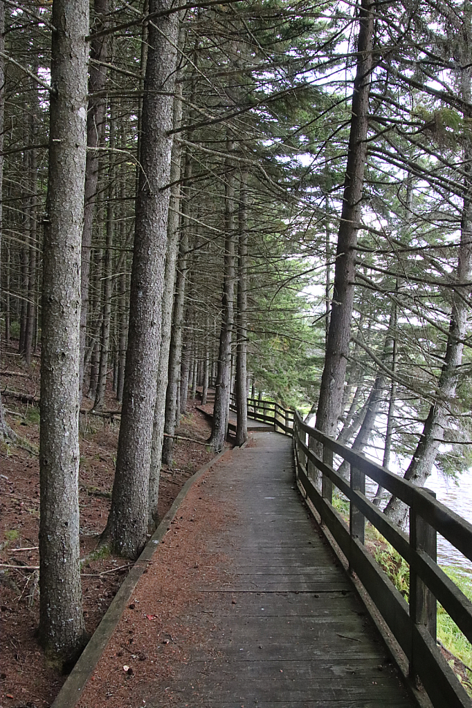 Trail by the Lake