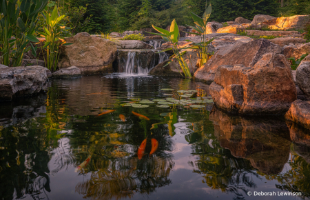 Golden Pond