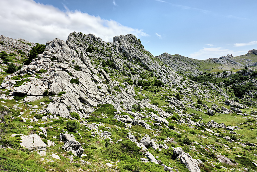 Rocky Terrain