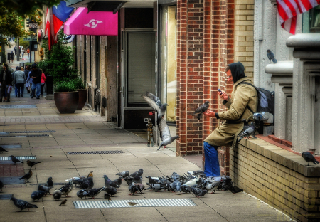 ~ ~ THE PIGEON MAN ~ ~ 