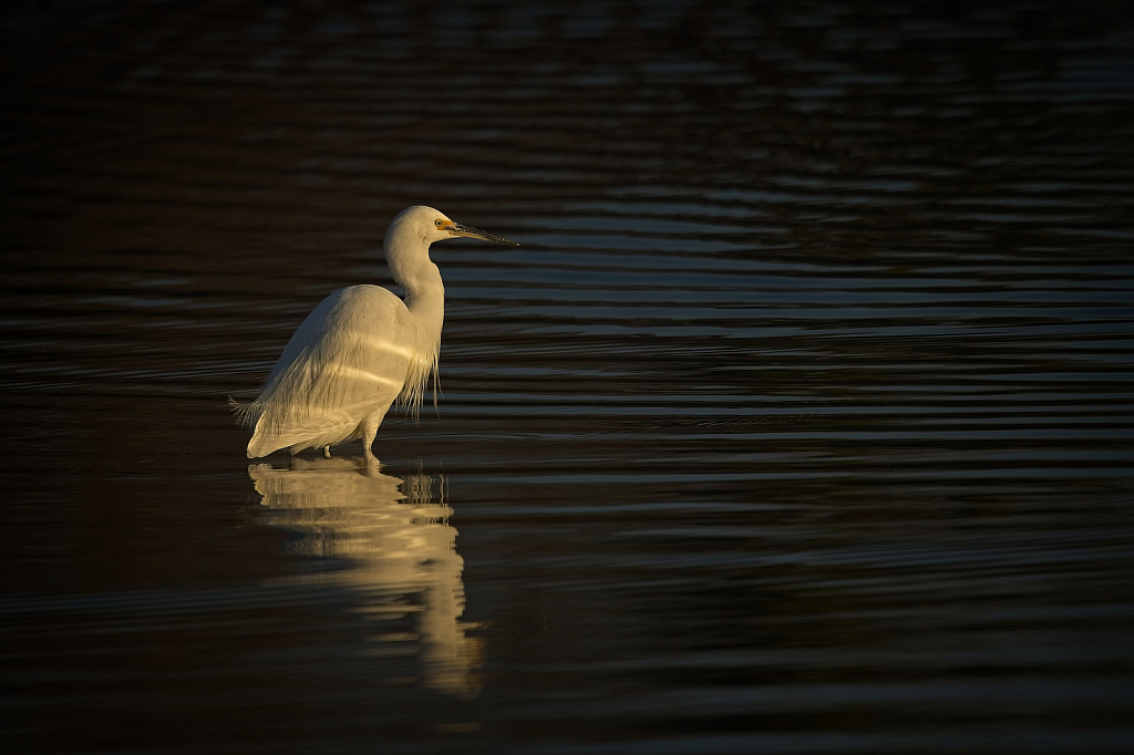 A moment of reflection