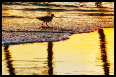 Down at the Pier 