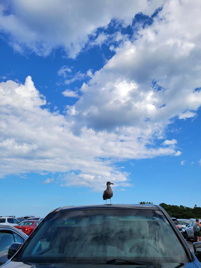 Parking Lot Manager