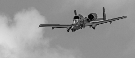 black and white air show 