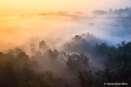 Misty Scene 