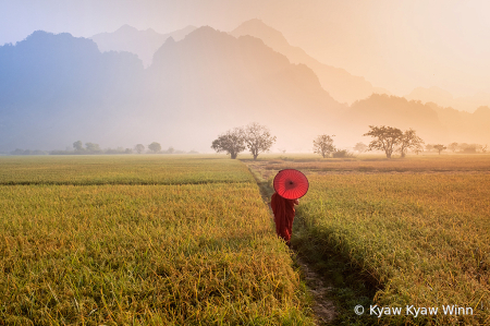 Nature and The Monk 