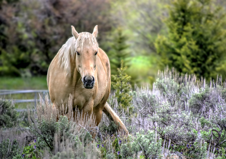 A Beautiful Encounter