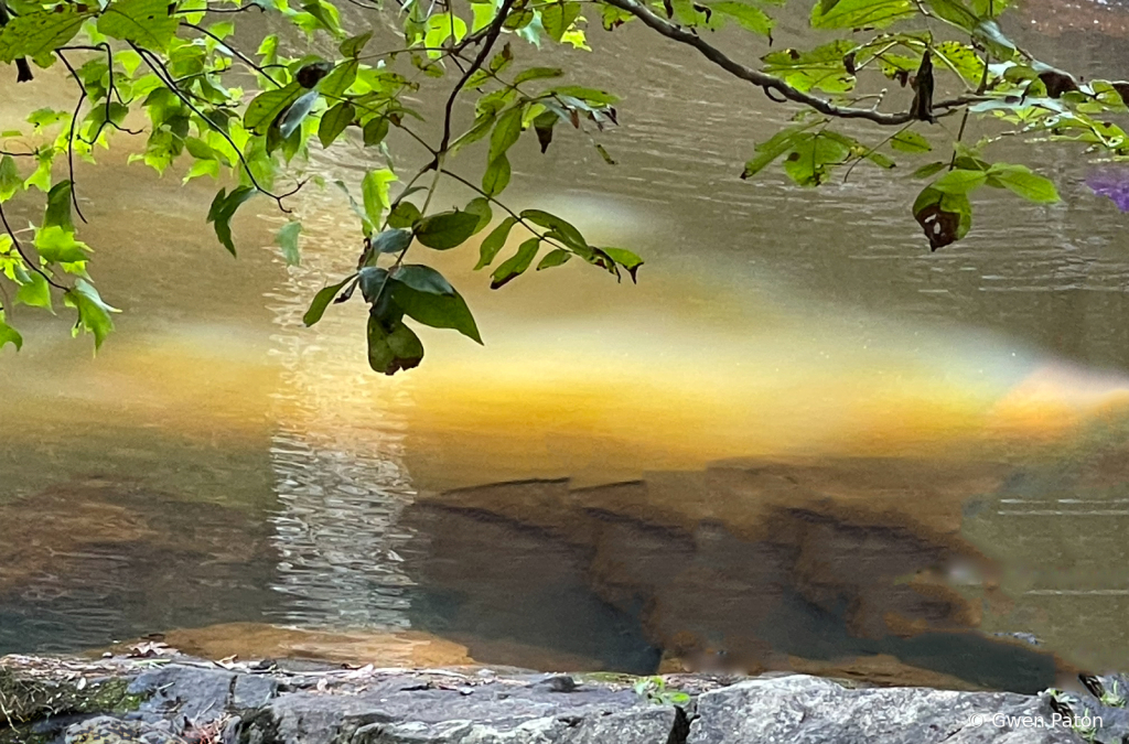 Reflection by the River