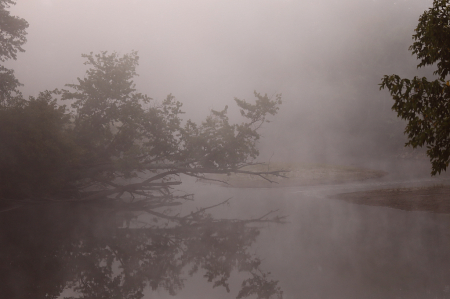 Misty Reflection