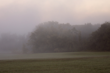 An Early Misty Morning