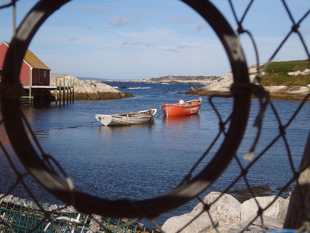 View Through a Lobster Trap