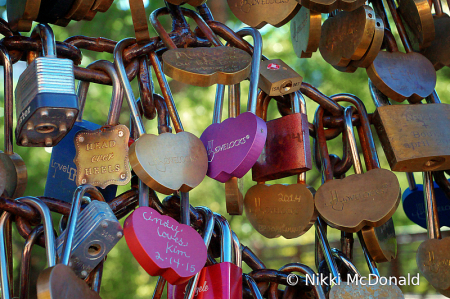 Zion Love Locks 