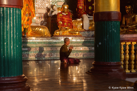 The Oly Guy from Yangon