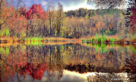 october reflections