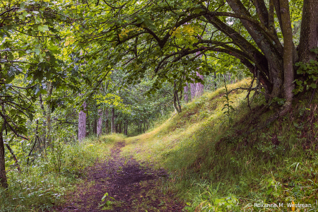 Invitation to this trail