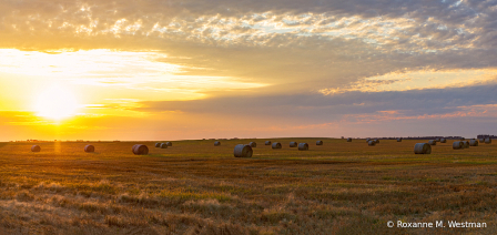 Upper midwest sunset over field of hay bales