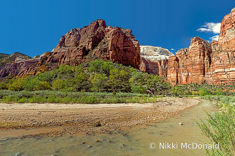 Virgin River through Zion National Park