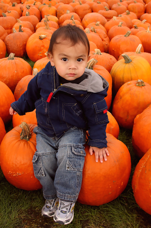 Pumpkin Boy