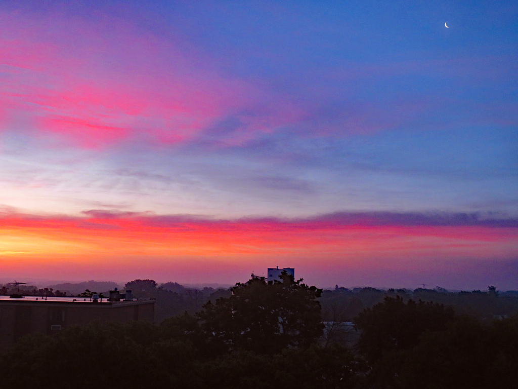 Long View From My Window